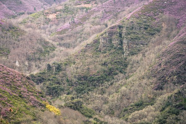 Quel est l'impact des droits de succession sur le financement d'une propriété immobilière?